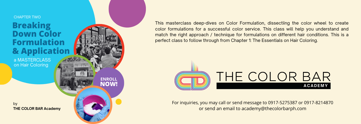 CHAPTER 2: Breaking Down Color Formulation & Application