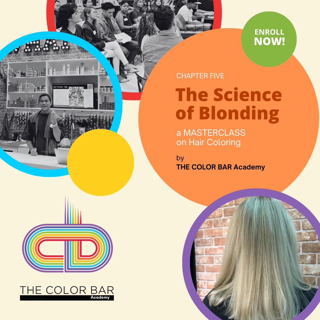 CHAPTER 5: The Science of Blonding