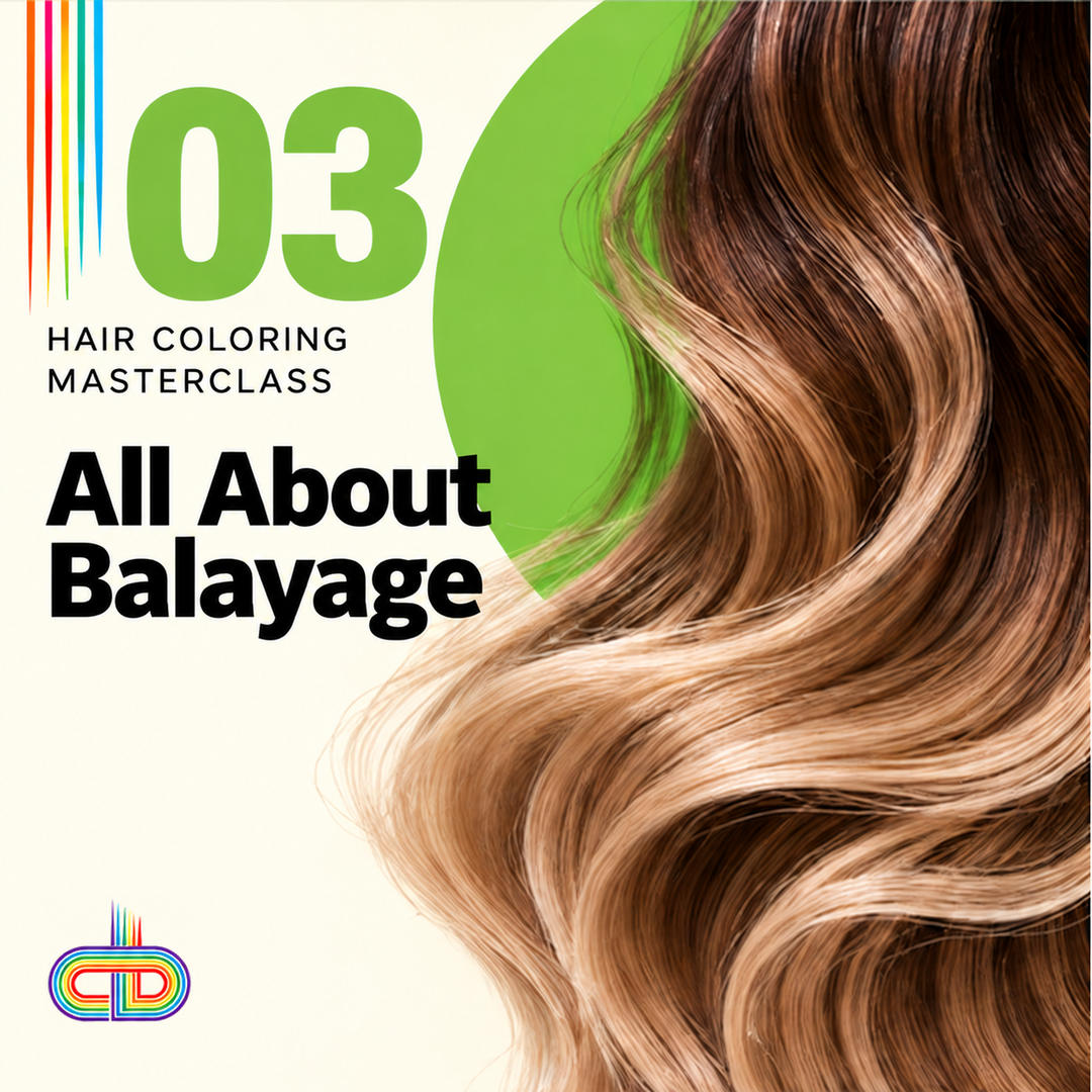 CHAPTER 3: All About Balayage